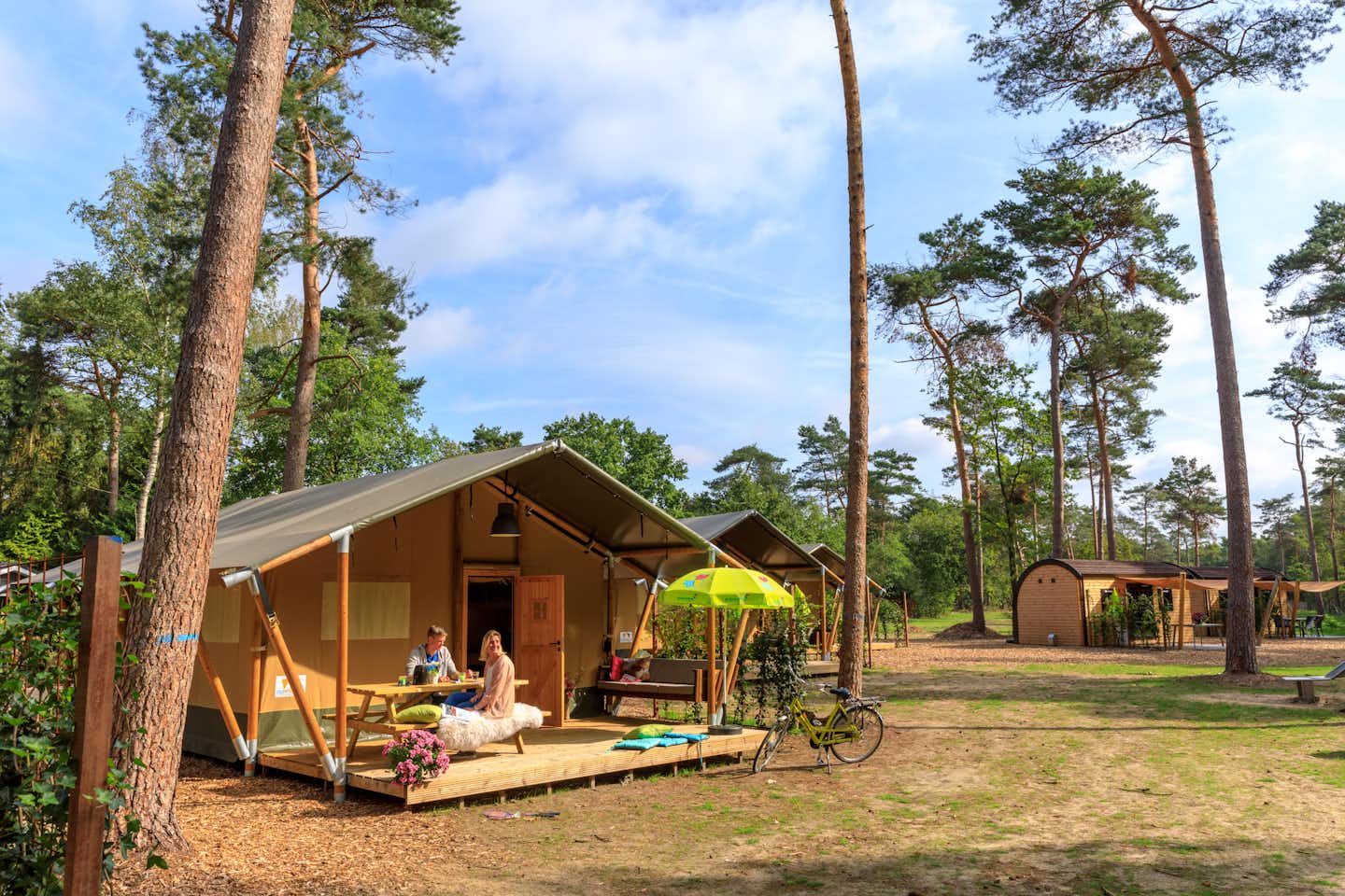 Camping de Haeghehorst - Glamping und Mobilheimen  im Schatten der Bäume auf dem Campingplatz