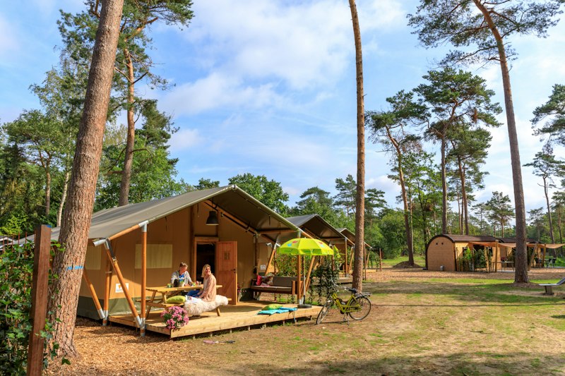 Ardoer Camping De Haeghehorst (foto 1, bron: ANWB Camping)