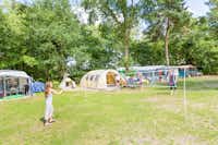 Camping de Haeghehorst - Zeltplatz mit Gästen die Federball spielen