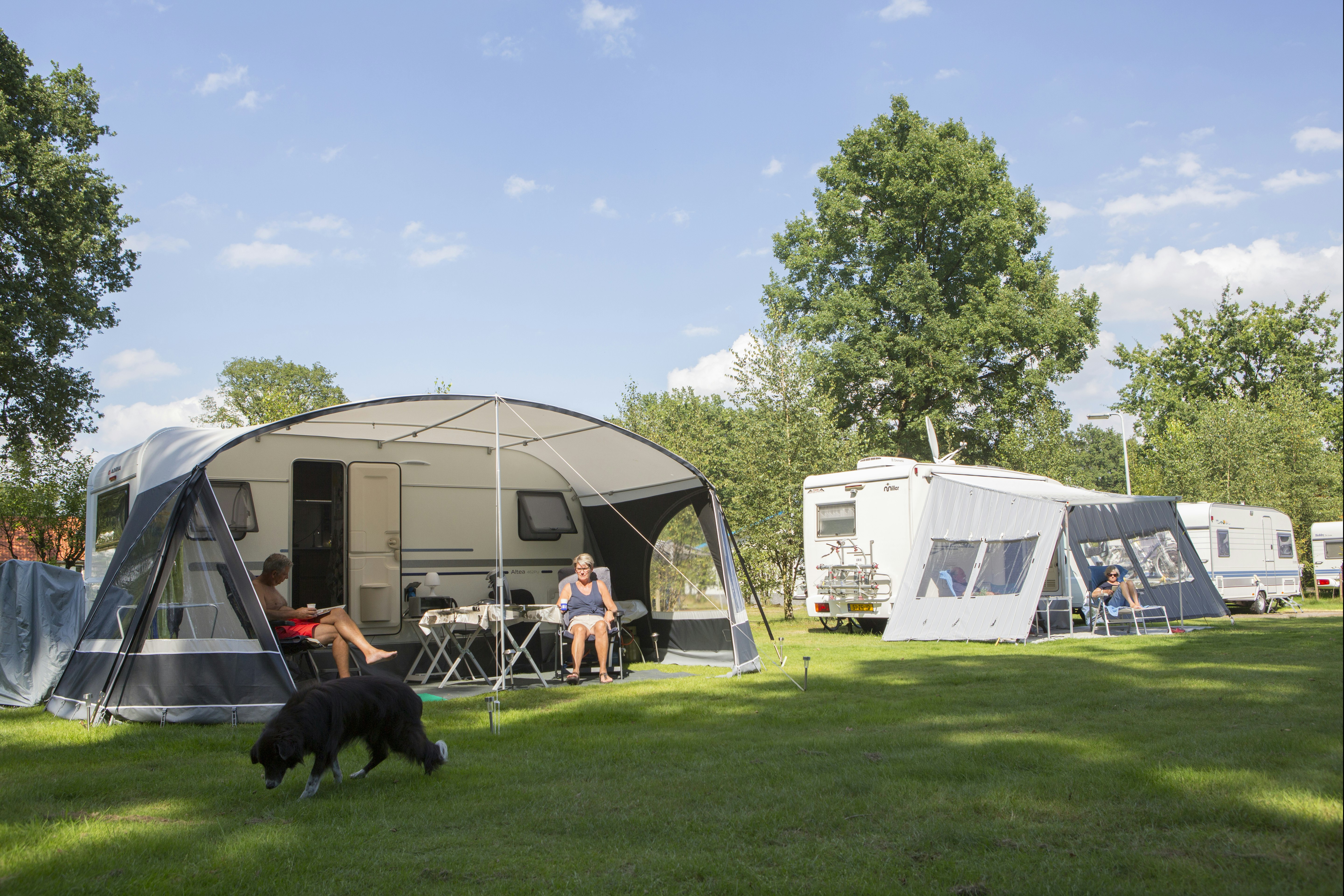 Camping De Haer - Camper mit Hund entspannen auf ihrem Standplatz auf der Wiese