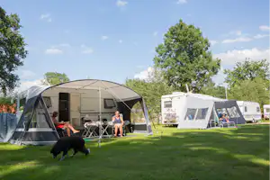Wohnwagen und Zelte auf einem Campingplatz auf einer grünen Wiese, umgeben von Bäumen und Wohnmobilen.