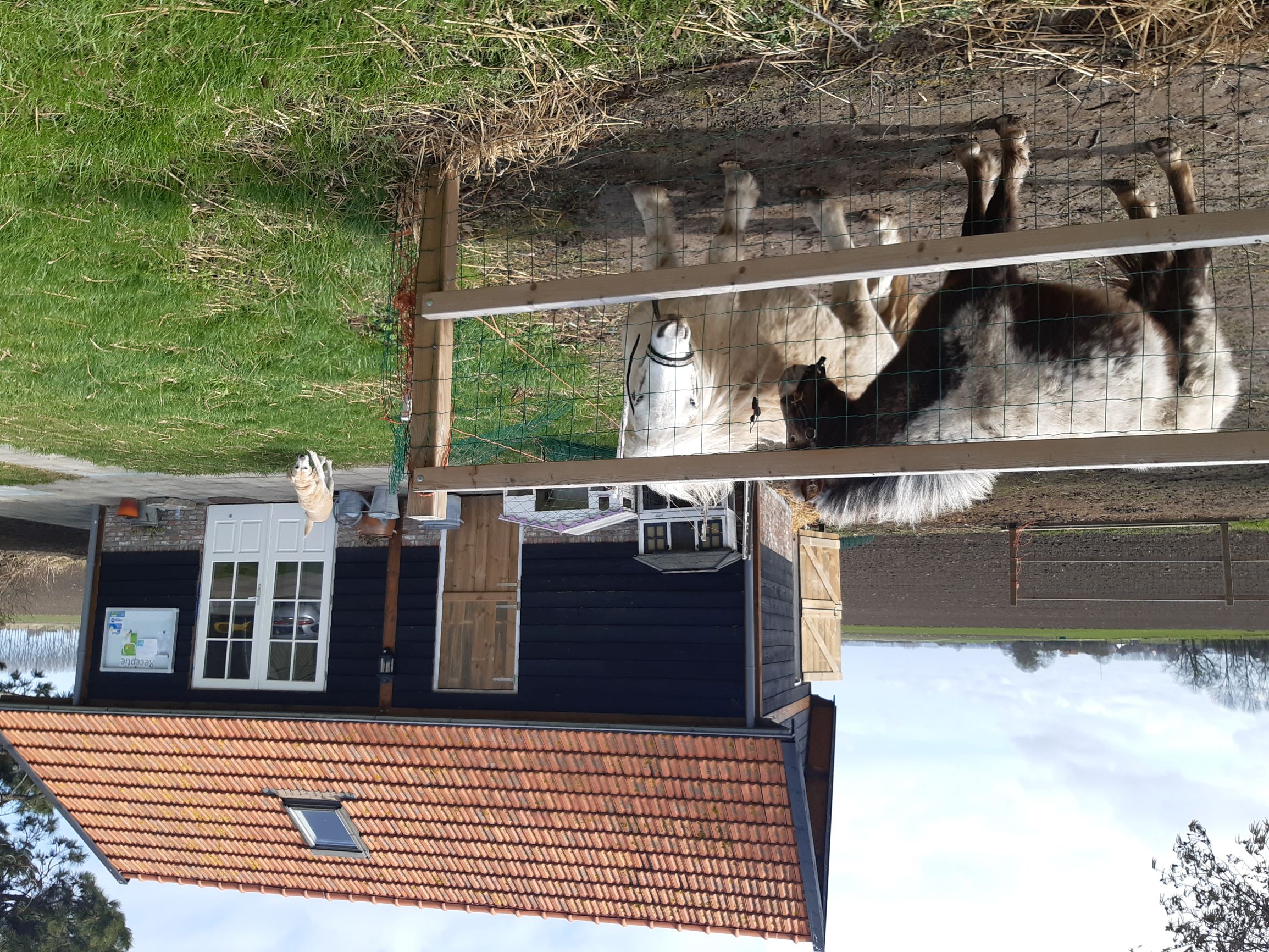 Camping De Helenahoeve