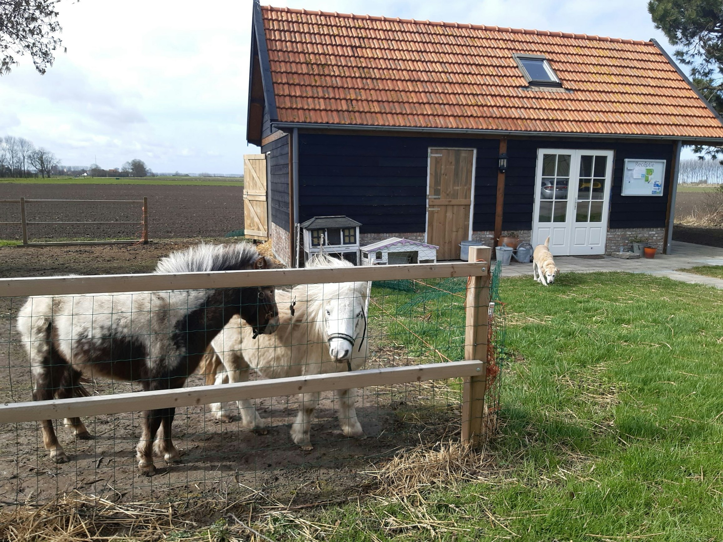 Camping De Helenahoeve