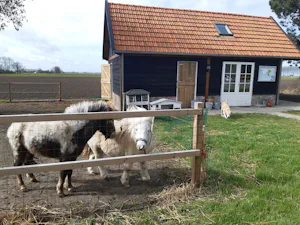 Camping De Helenahoeve