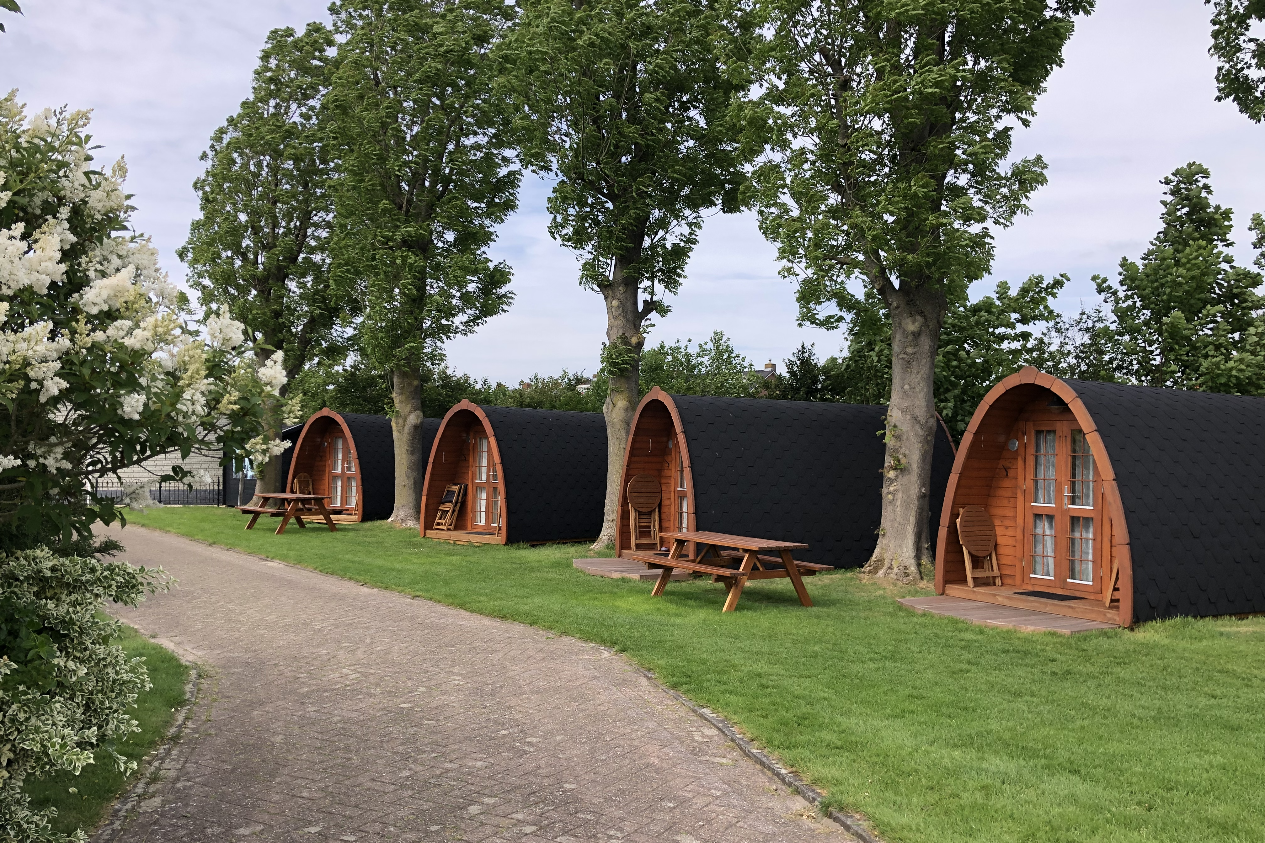 Camping de Hof van Eeden - Mobilheim-Pods auf dem Campingplatz