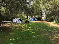 Camping de Hof