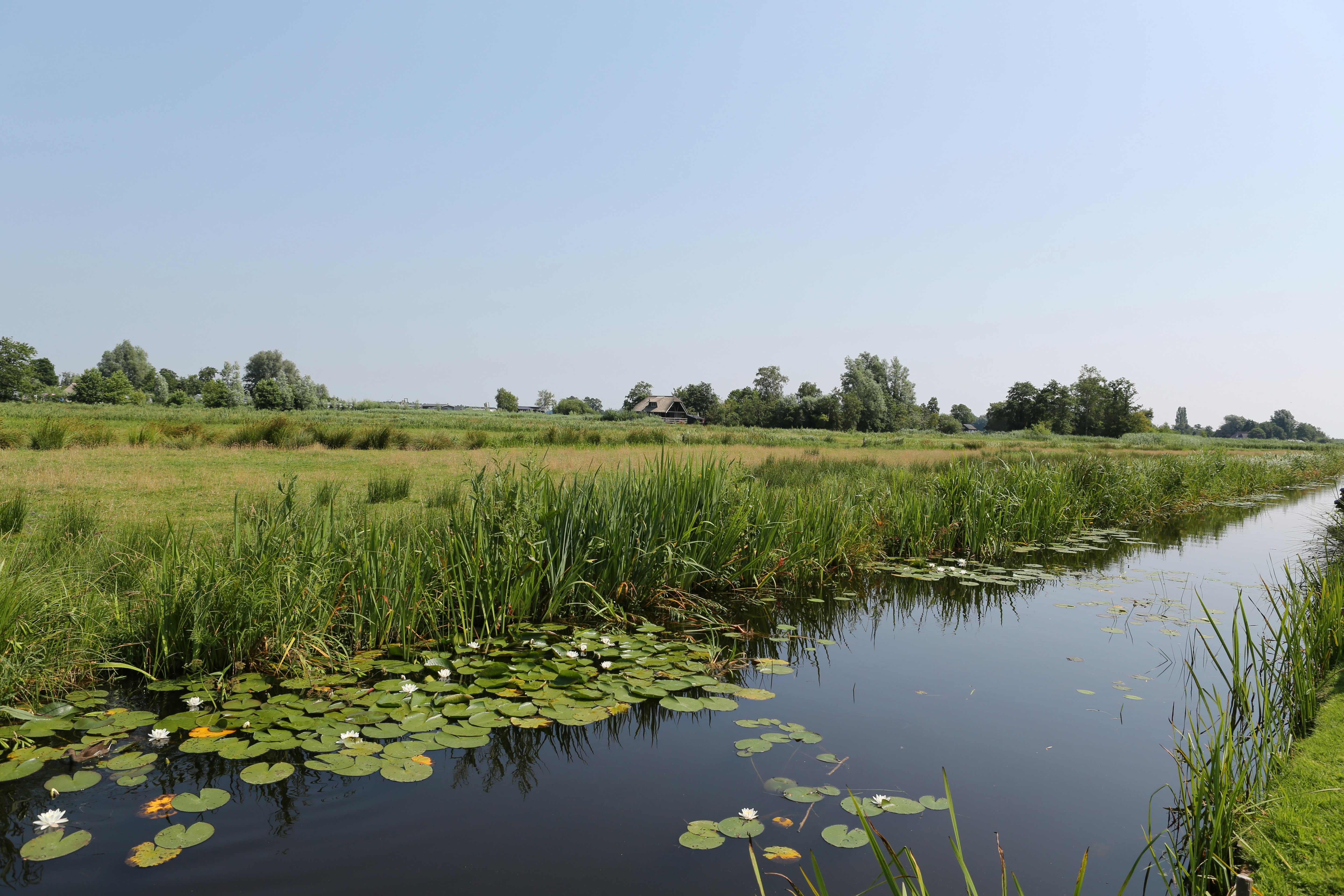 Camping de Hof - Blick auf den Kanal am Campingplatz