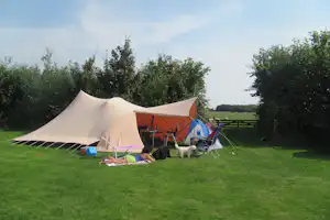 Camping De Hoge Kamp - Standplätze auf dem Campingplatz