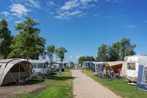 Campingplatz mit Zelten und Wohnwagen am Weg, daneben Fahrräder und Campingstühle, Bäume und blauem Himmel.