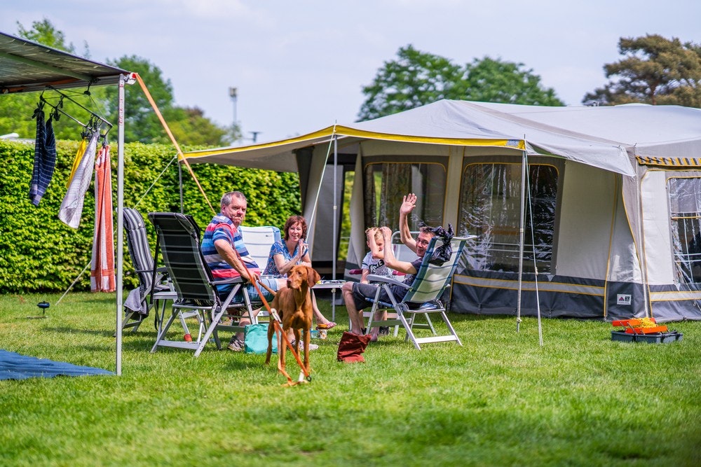 Camping De Hondsrug - Familie mit Hund entspannt auf ihrem Standplatz