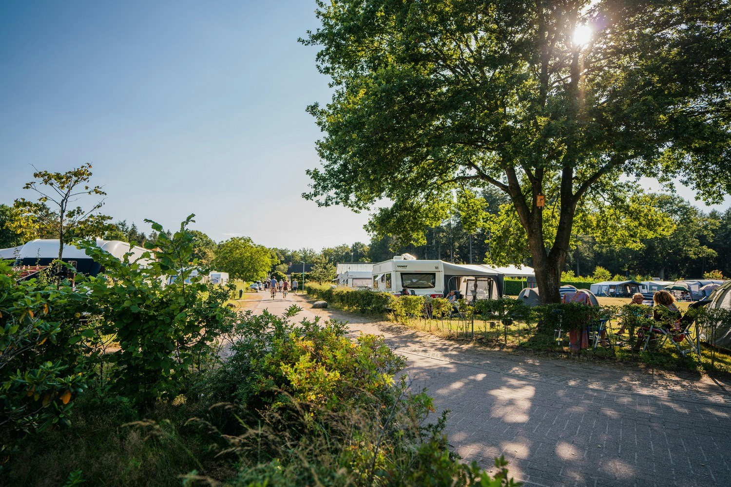 Camping De Hondsrug - Standplätze auf dem Campingplatz