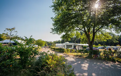 Camping De Hondsrug