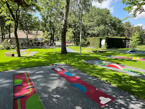 Boule-Bahn auf dem Campingplatz im Grünen, mit bunten Bahnen, Rasenflächen, Bäumen und Hecke im Hintergrund.