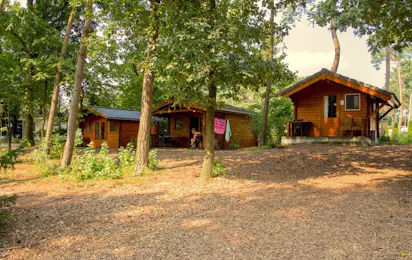 Camping De Hooghe Heide