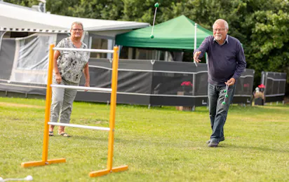 De Hvide Svaner Camping