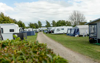 De Hvide Svaner Camping