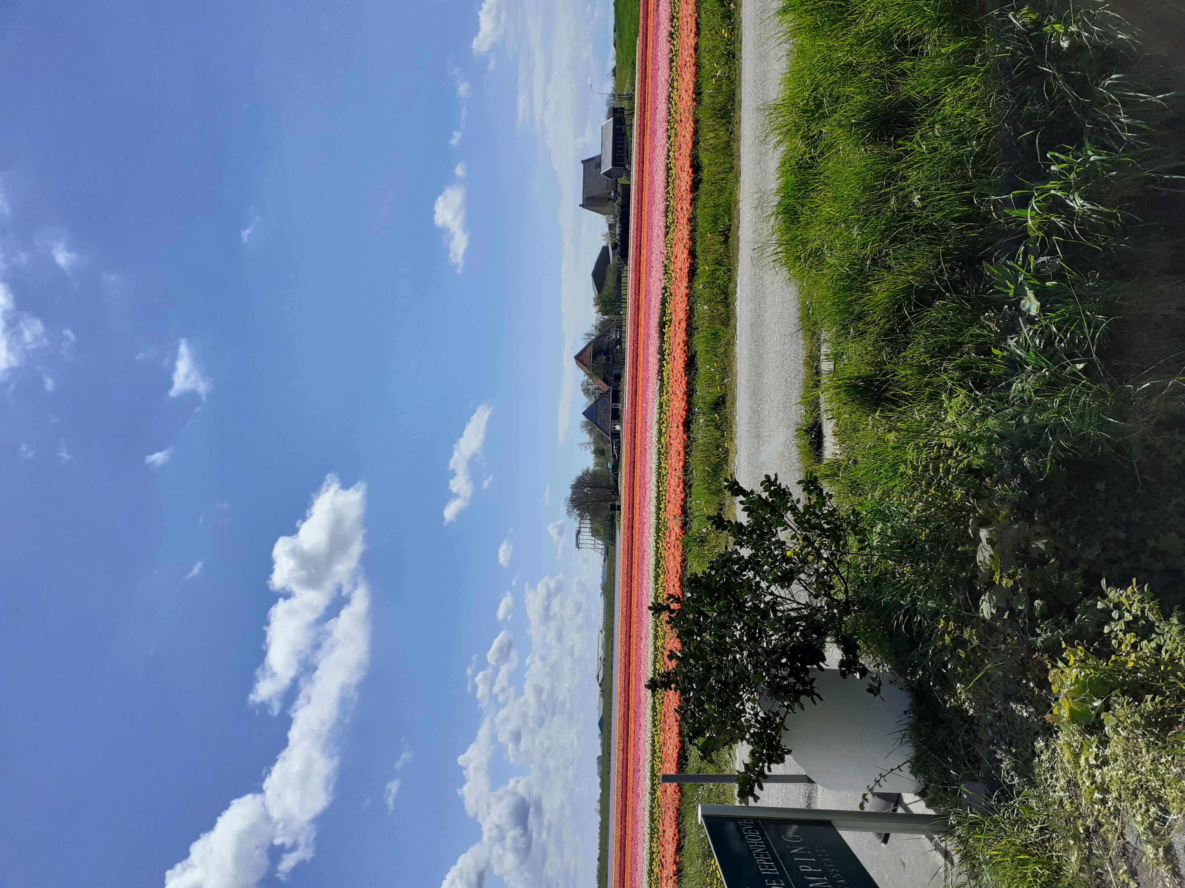 Camping De Iepenhoeve