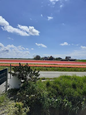 Camping De Iepenhoeve