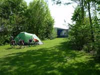 Camping De Iepenhoeve