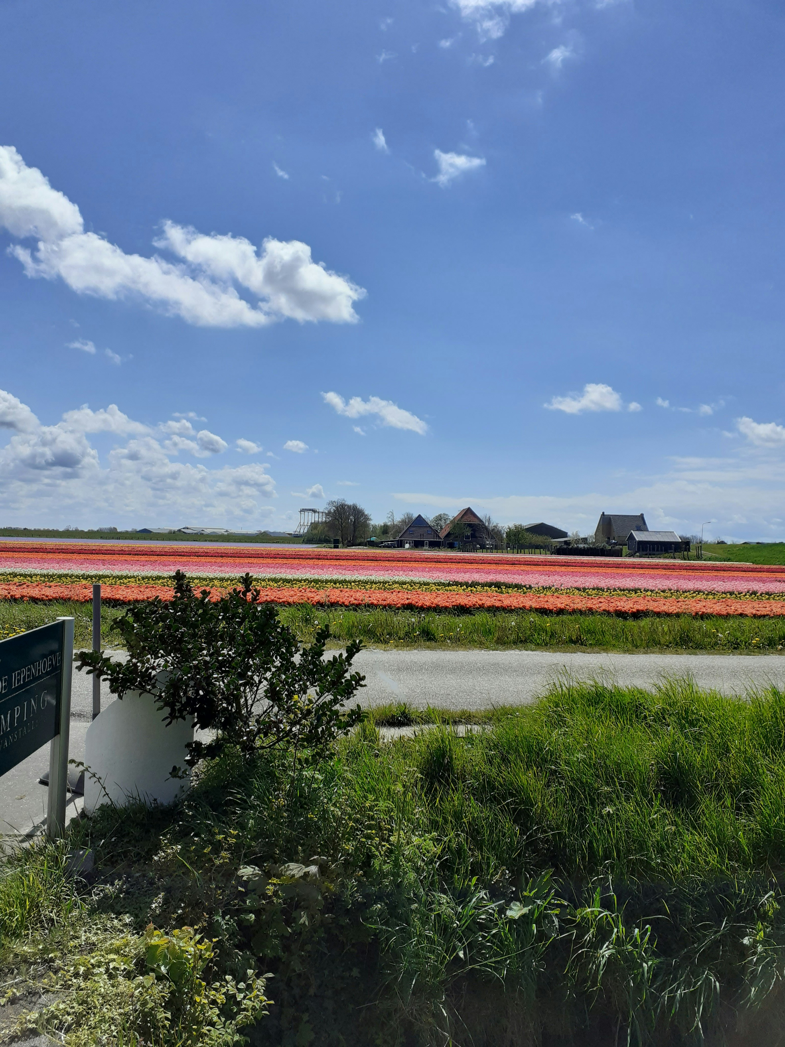 Camping De Iepenhoeve