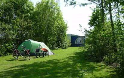 Camping De Iepenhoeve