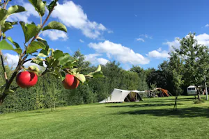 Camping De Kamperhoek - Standplatzwiese auf dem Campingplatz