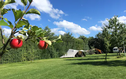 Camping De Kamperhoek
