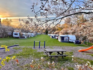 Landgoed Kattenbergse Hoeve