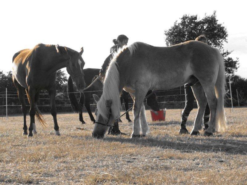 Camping De Kernéjeune
