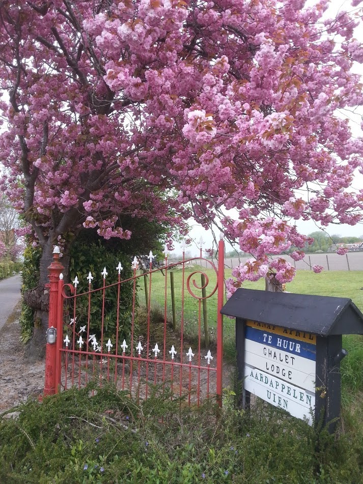 Camping De Kiekendief