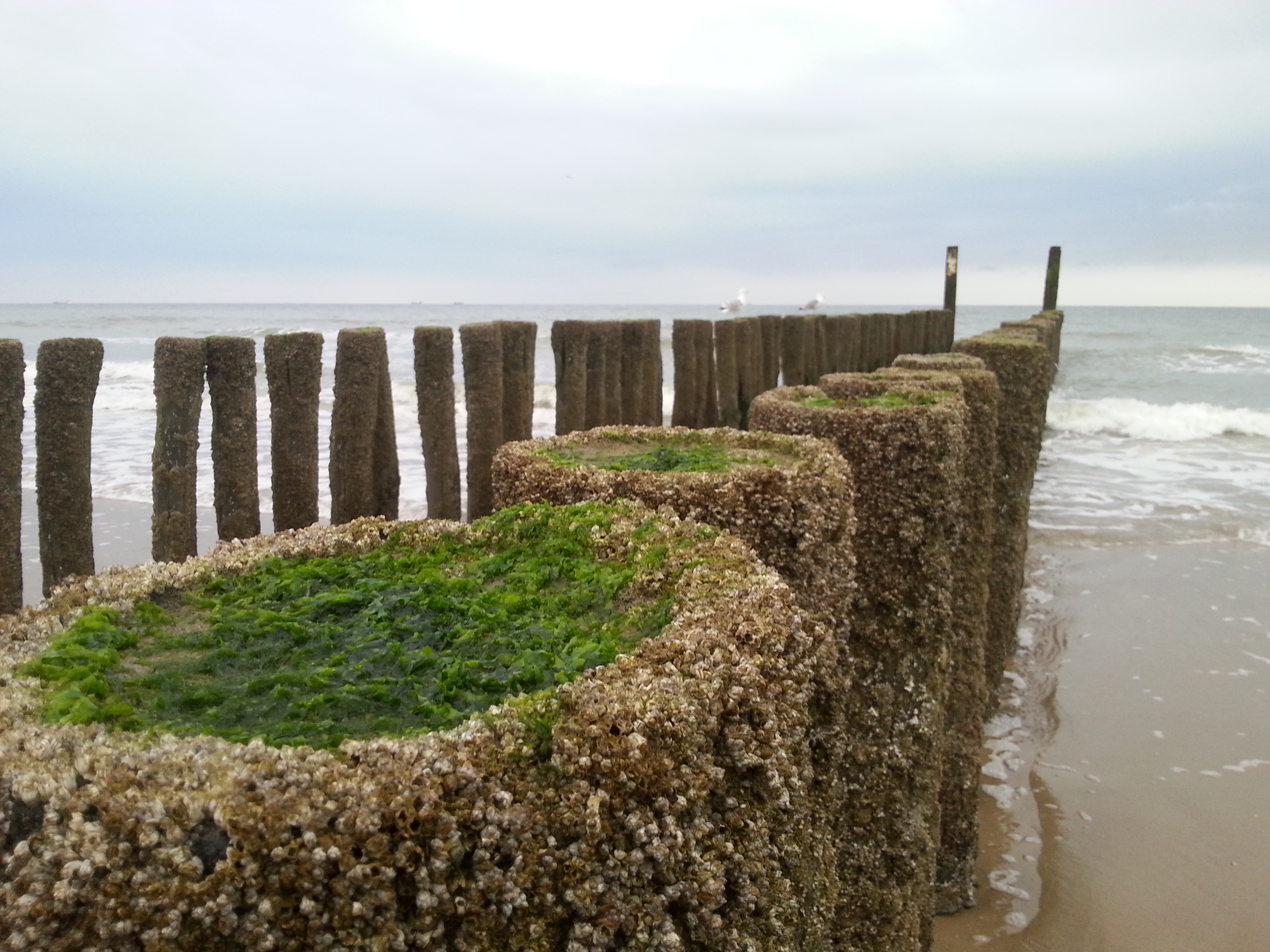 Camping De Kiekendief