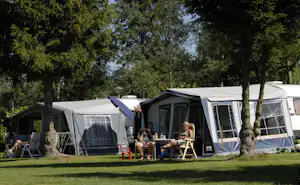 Camping De Kienehoef - Campingbereich für Wohnwagen im Schatten der Bäume