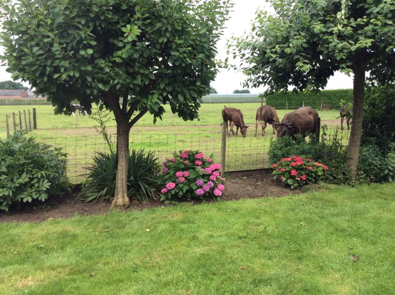 Camping De Kijfakker