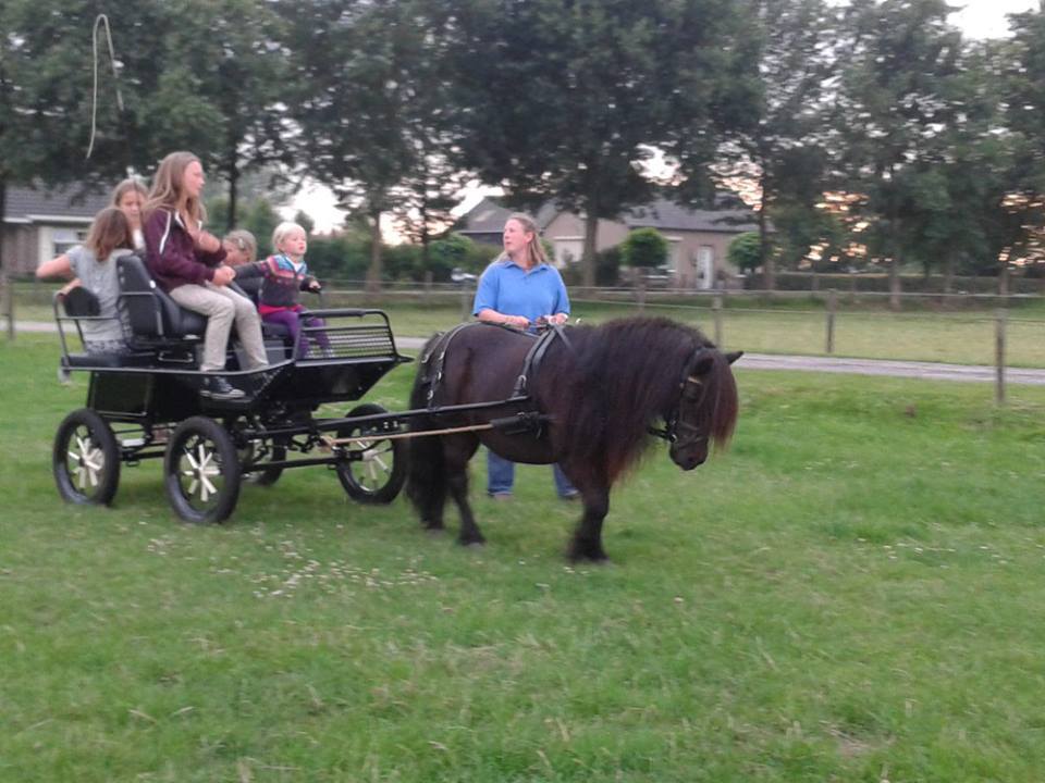 Camping De Kijfakker