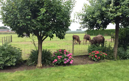 Camping De Kijfakker