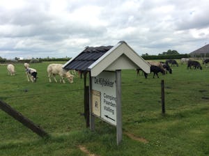Camping De Kijfakker