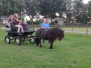 Camping De Kijfakker