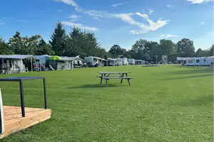 Camping De Kleine Reus - Standplatzwiese auf dem Campingplatz