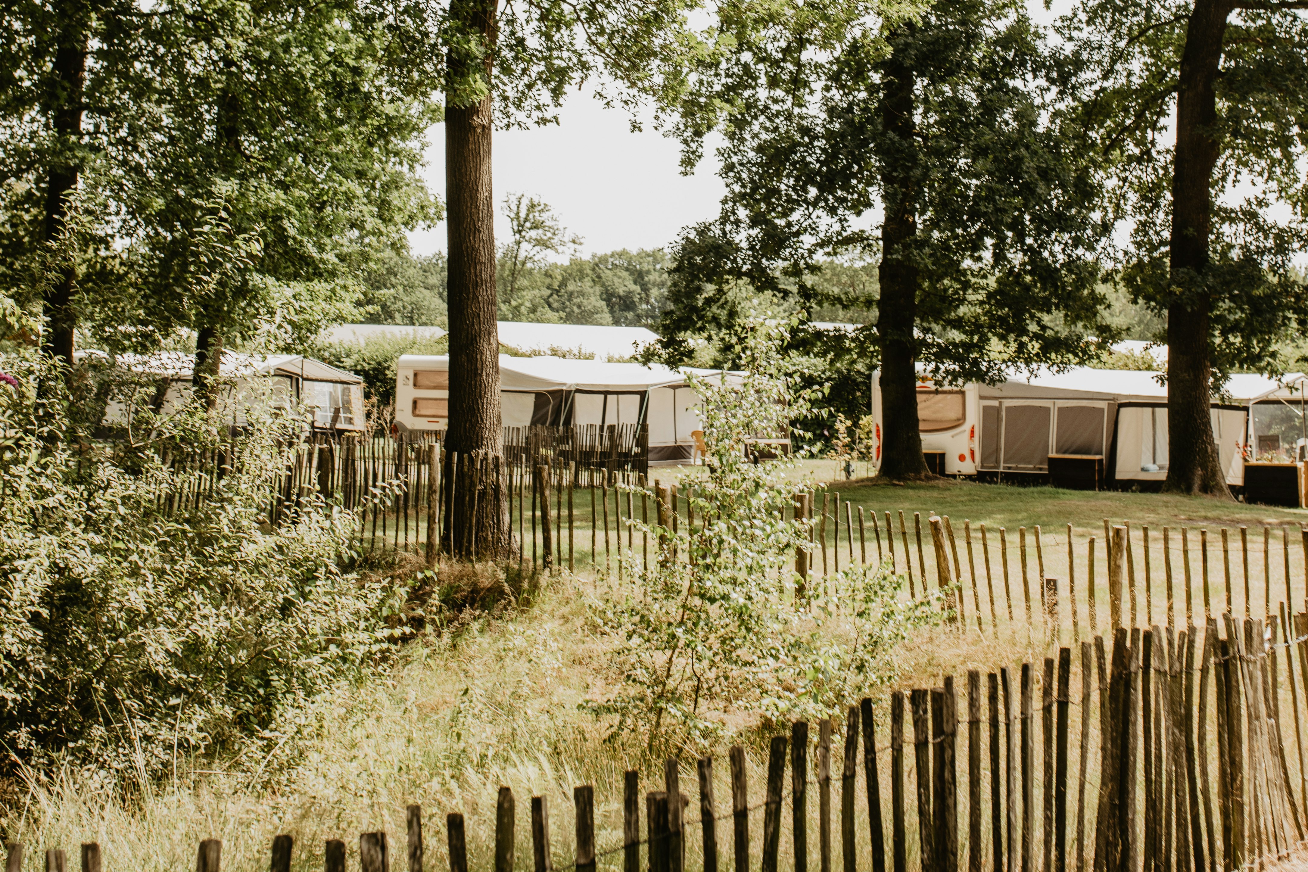 Camping De Kleine Wolf - Standplätze auf dem Campingplatz