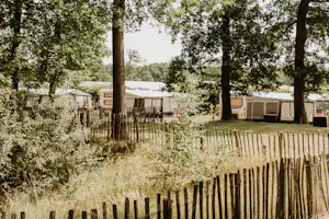 Camping De Kleine Wolf - Standplätze auf dem Campingplatz