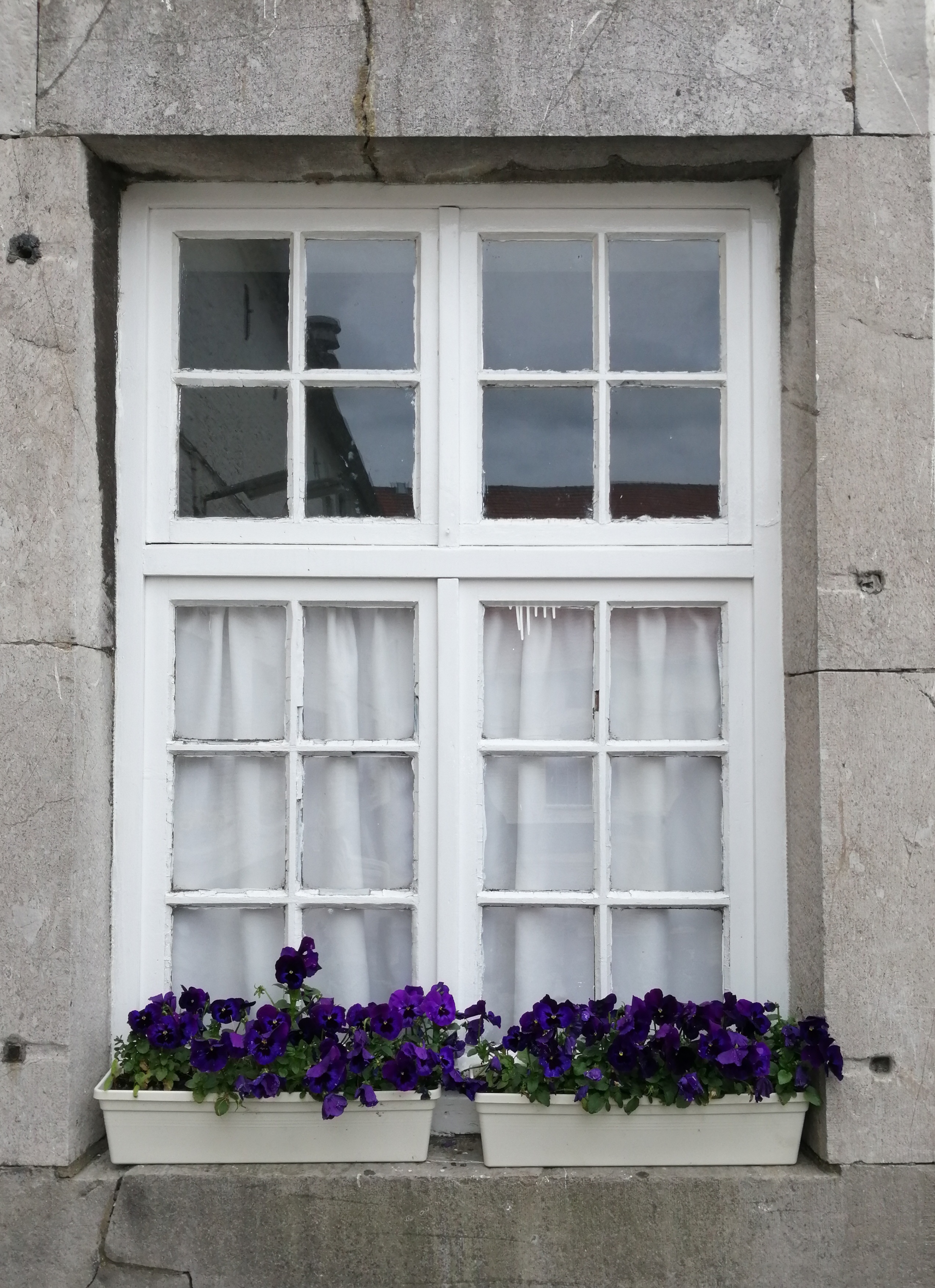 Camping De Kloostermuur