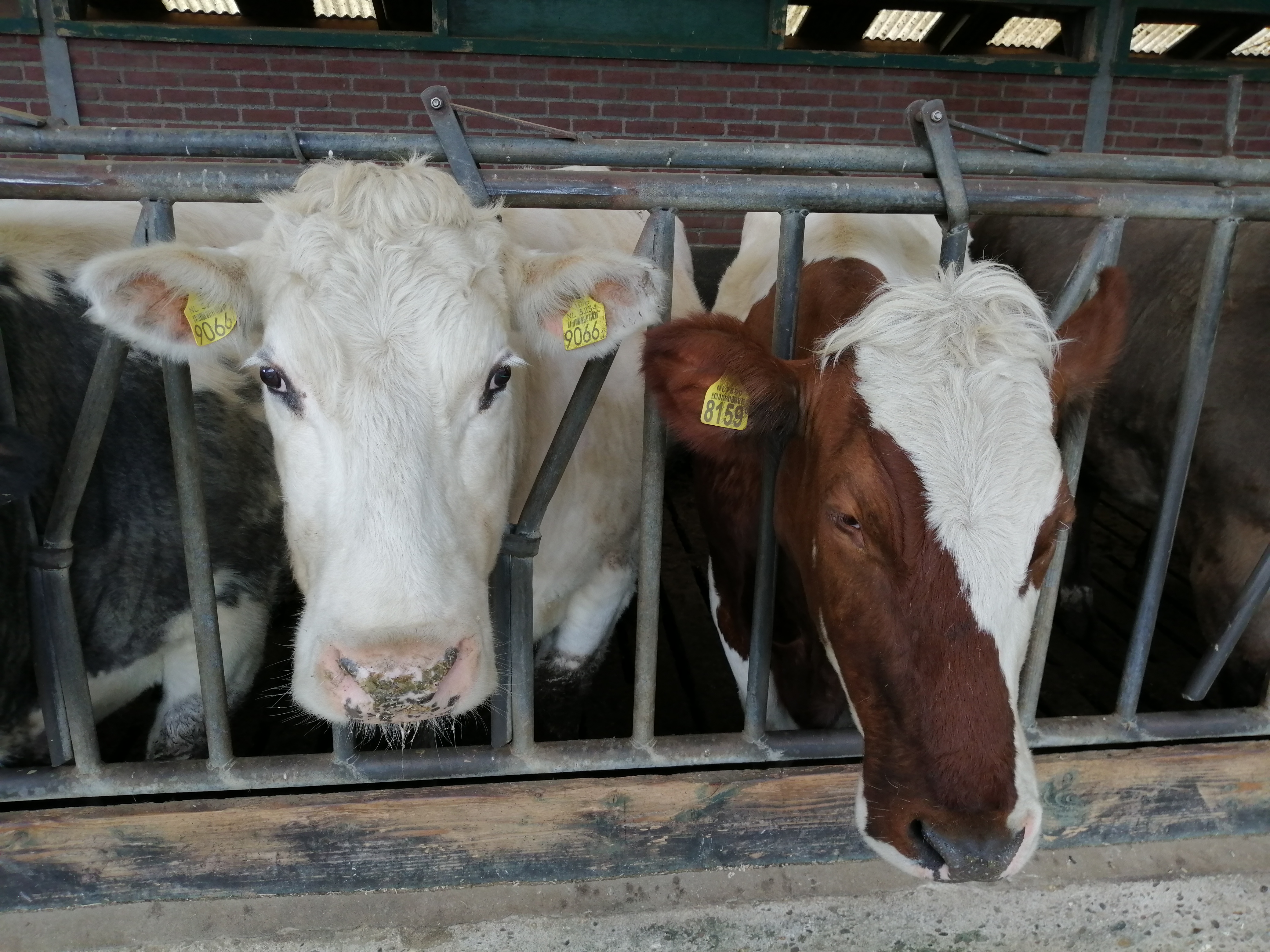 Camping De Kloostermuur