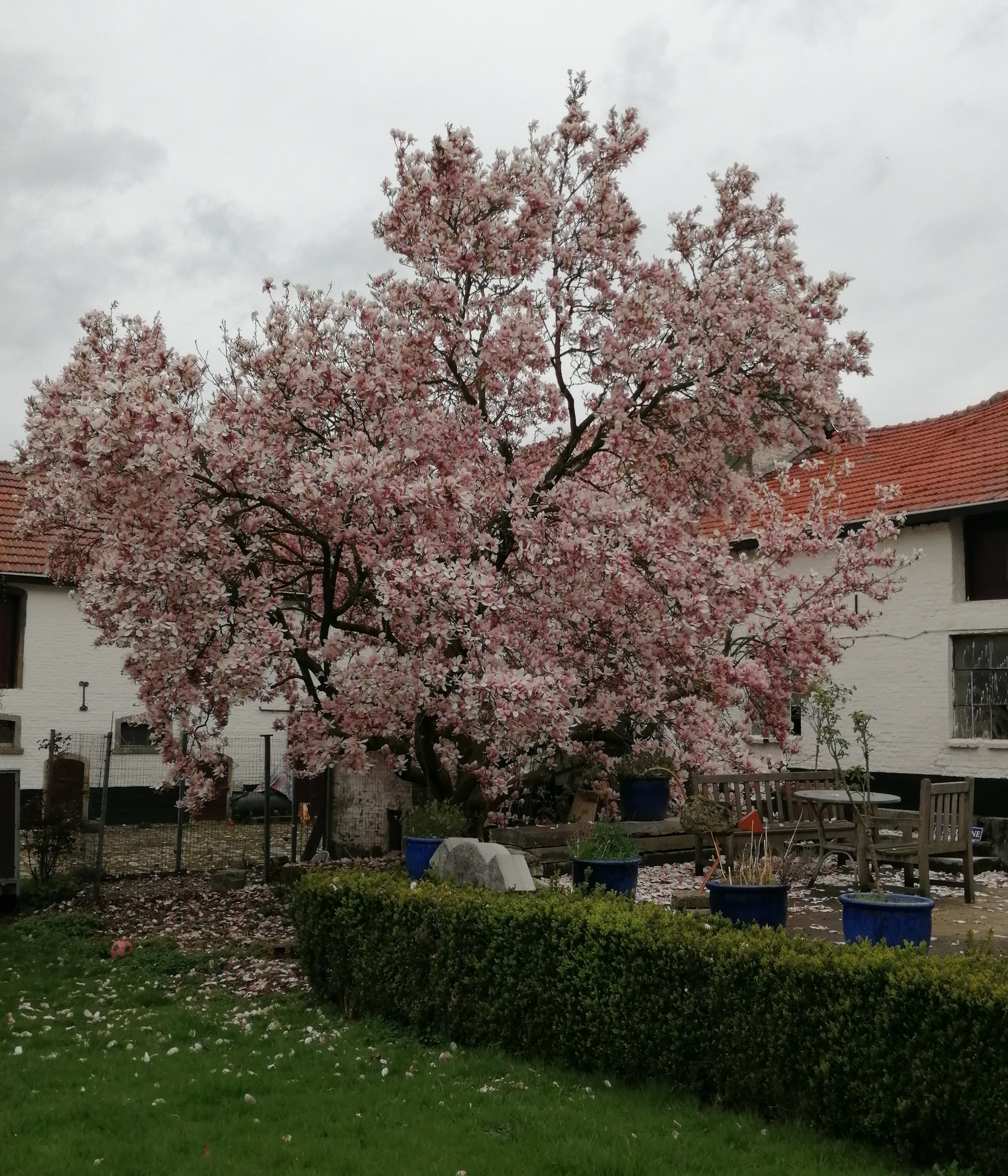 Camping De Kloostermuur