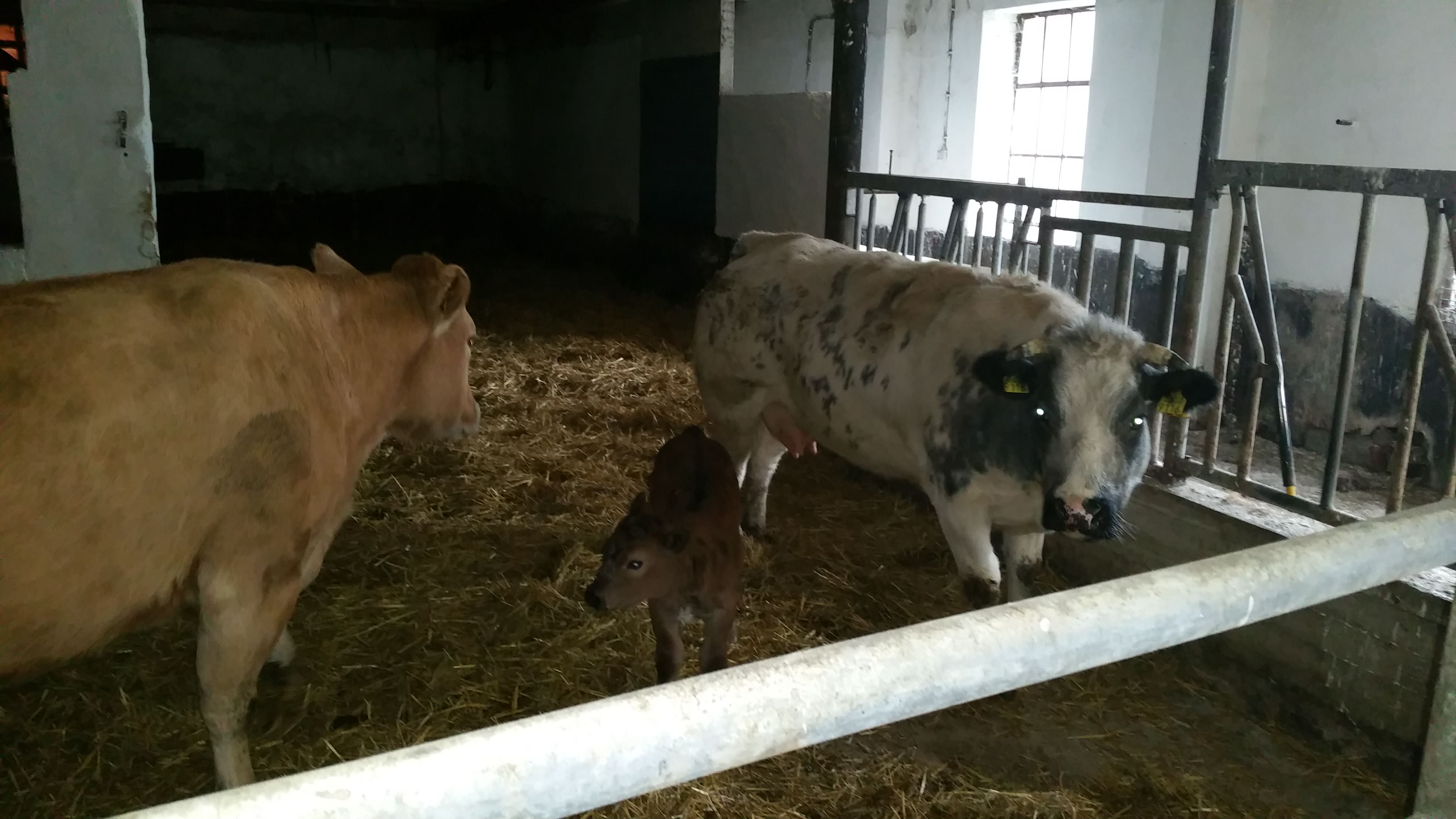 Camping De Kloostermuur