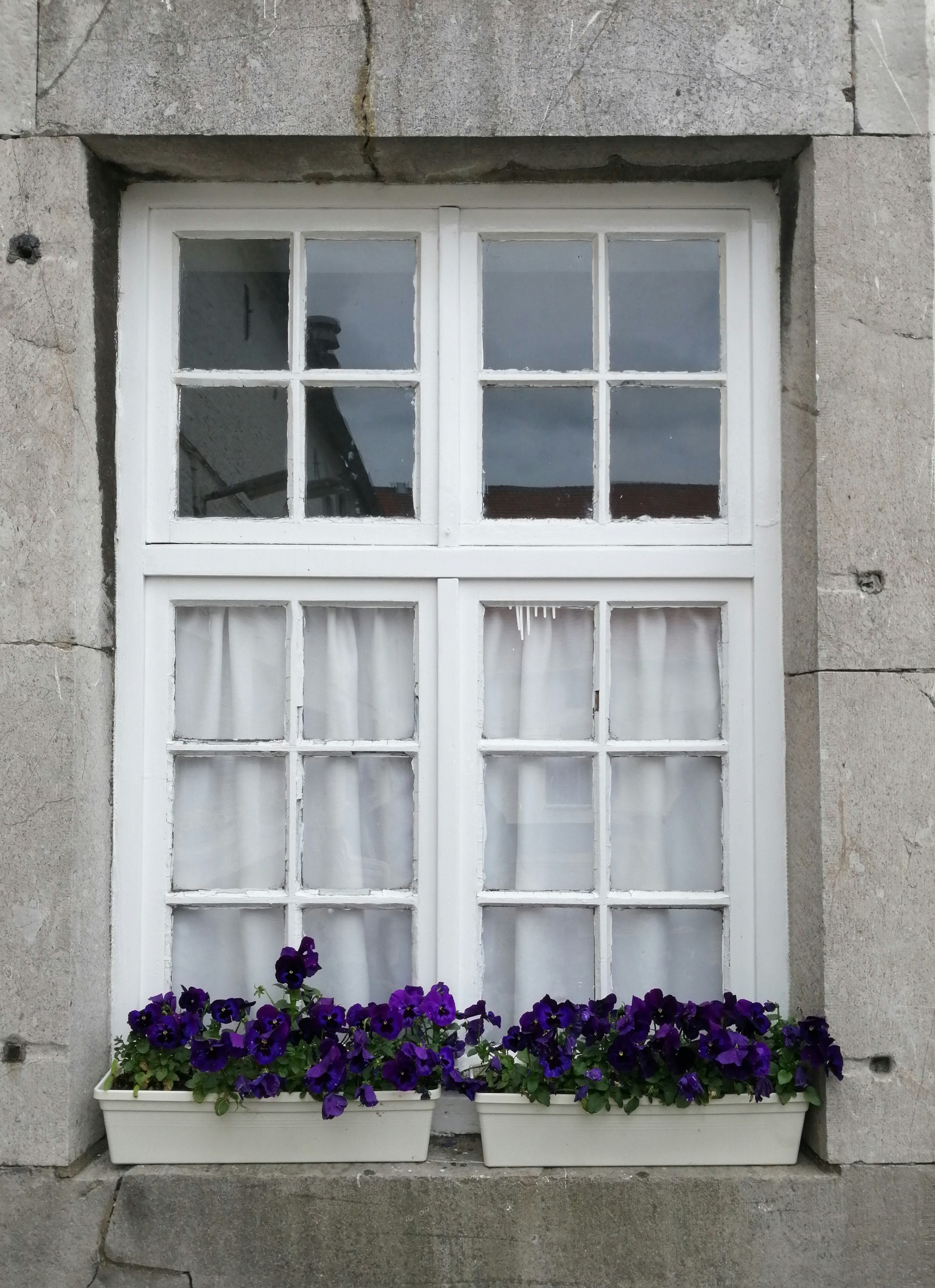 Camping De Kloostermuur