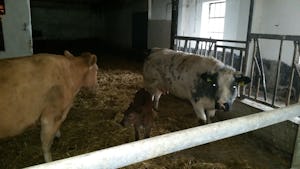 Camping De Kloostermuur