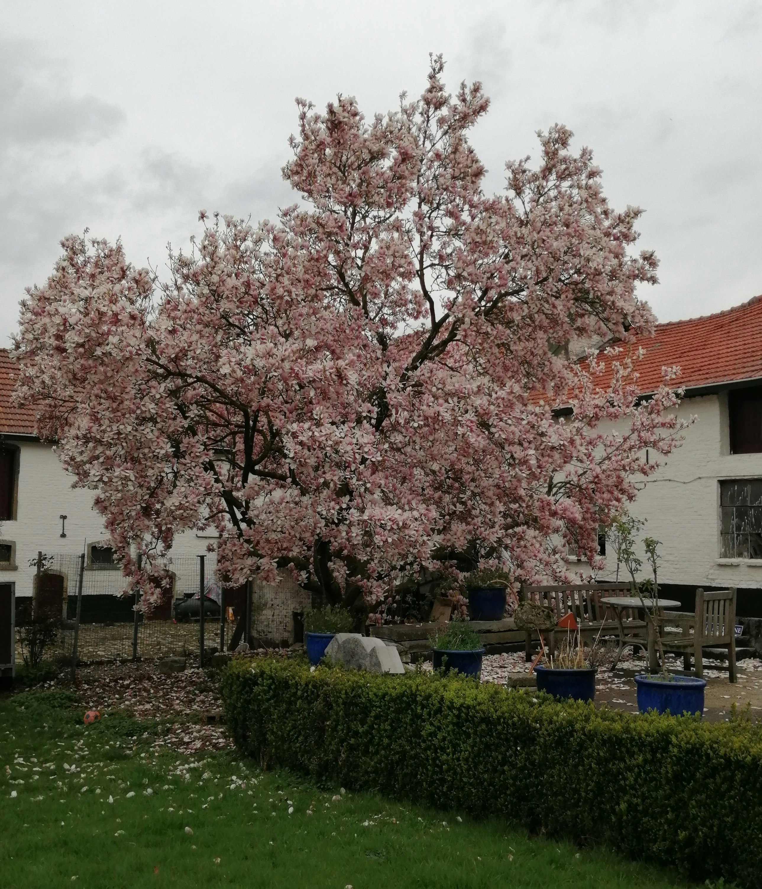 Camping De Kloostermuur