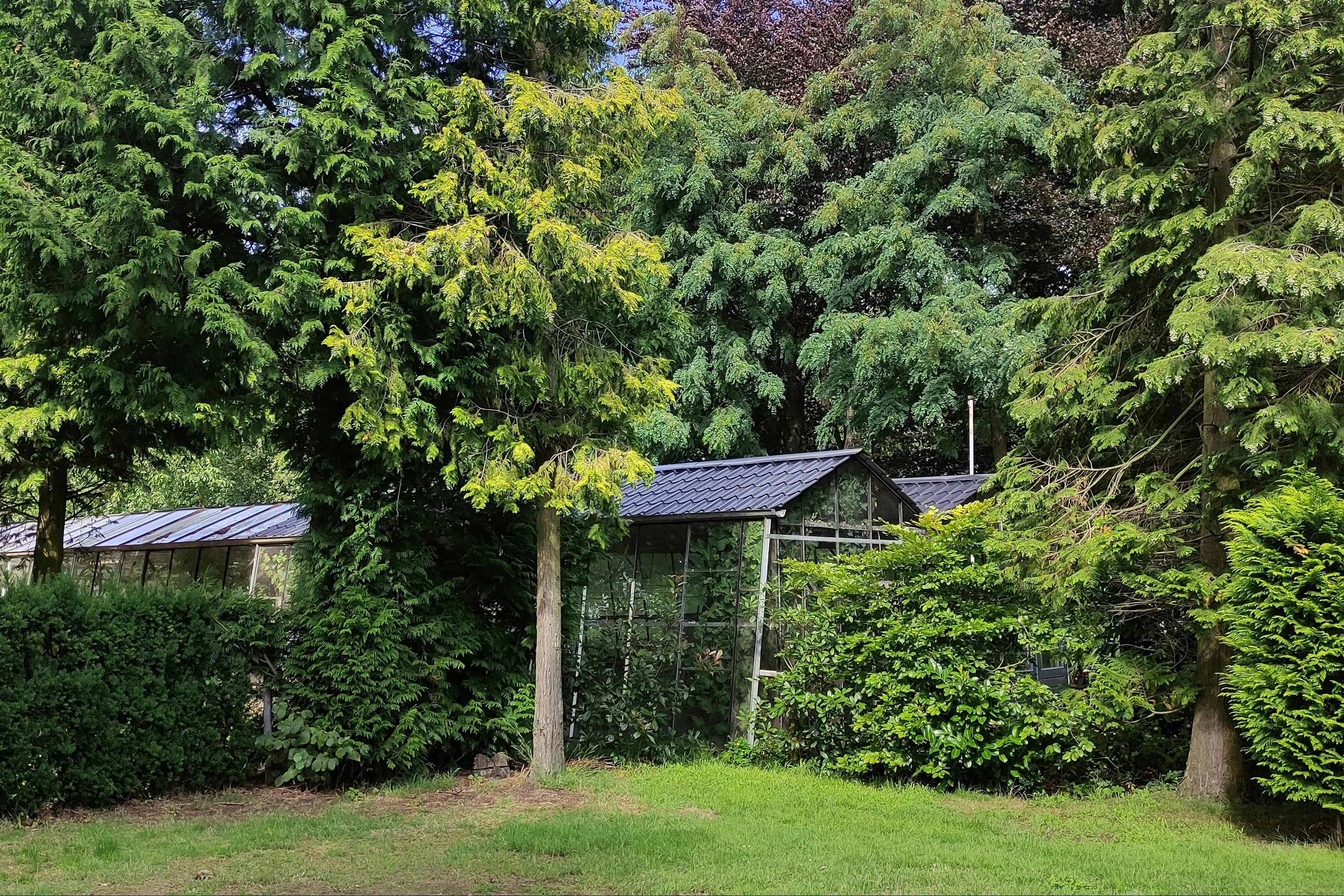 Camping De Kluis - Gewächshäuser auf dem Campingplatz