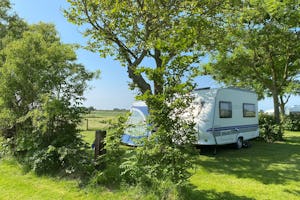 Camping De Knockaerthof - Standplätze zwischen den Bäumen auf dem Campingplatz