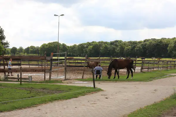 Camping De Kommer